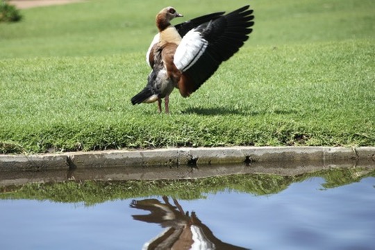 Capetown, South Africa